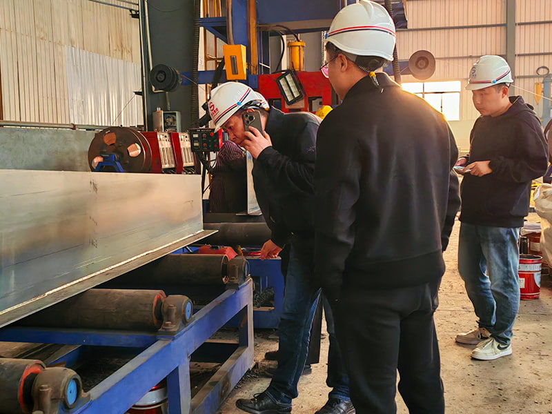 Luli Group Inspection