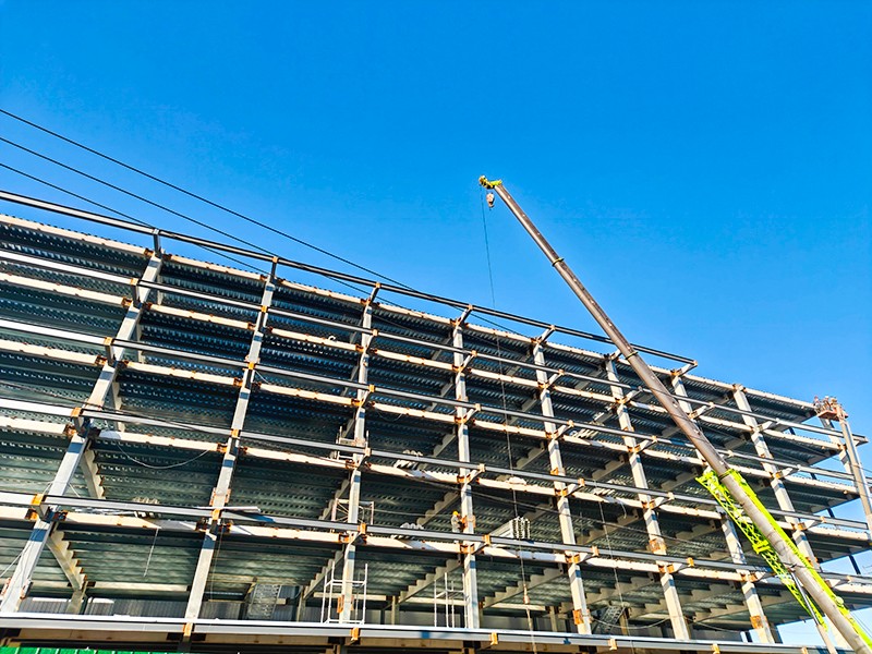 Multi-Story Steel Structure Building