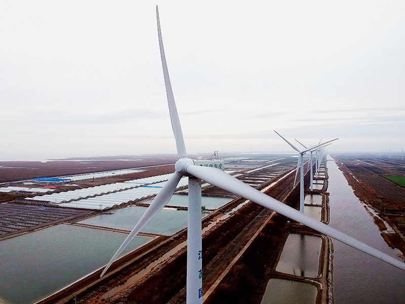 Coastal Photovoltaic Shrimp Farm